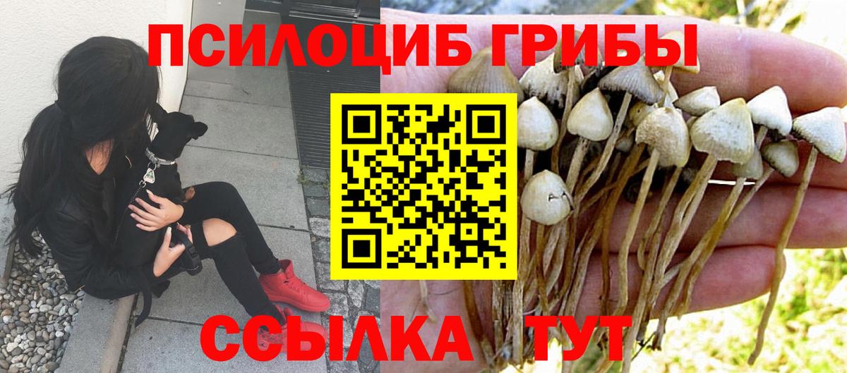 Галлюциногенные грибы прущие грибы  Галлюциногенные грибы мухоморы  Великий Новгород  Вход с VPN 