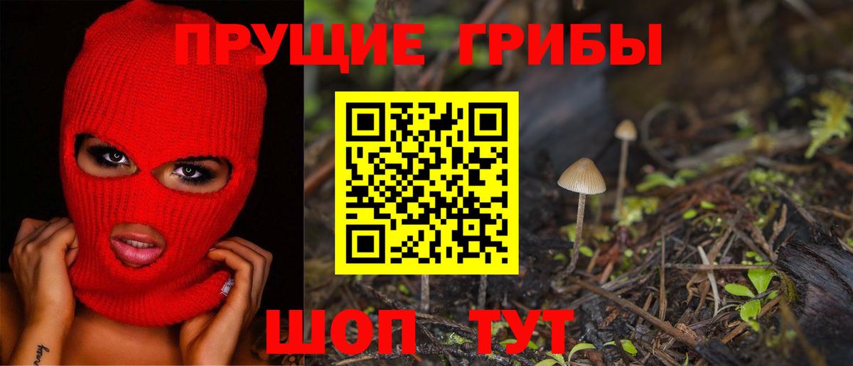 Псилоцибиновые грибы GOLDEN TEACHER Великий Новгород